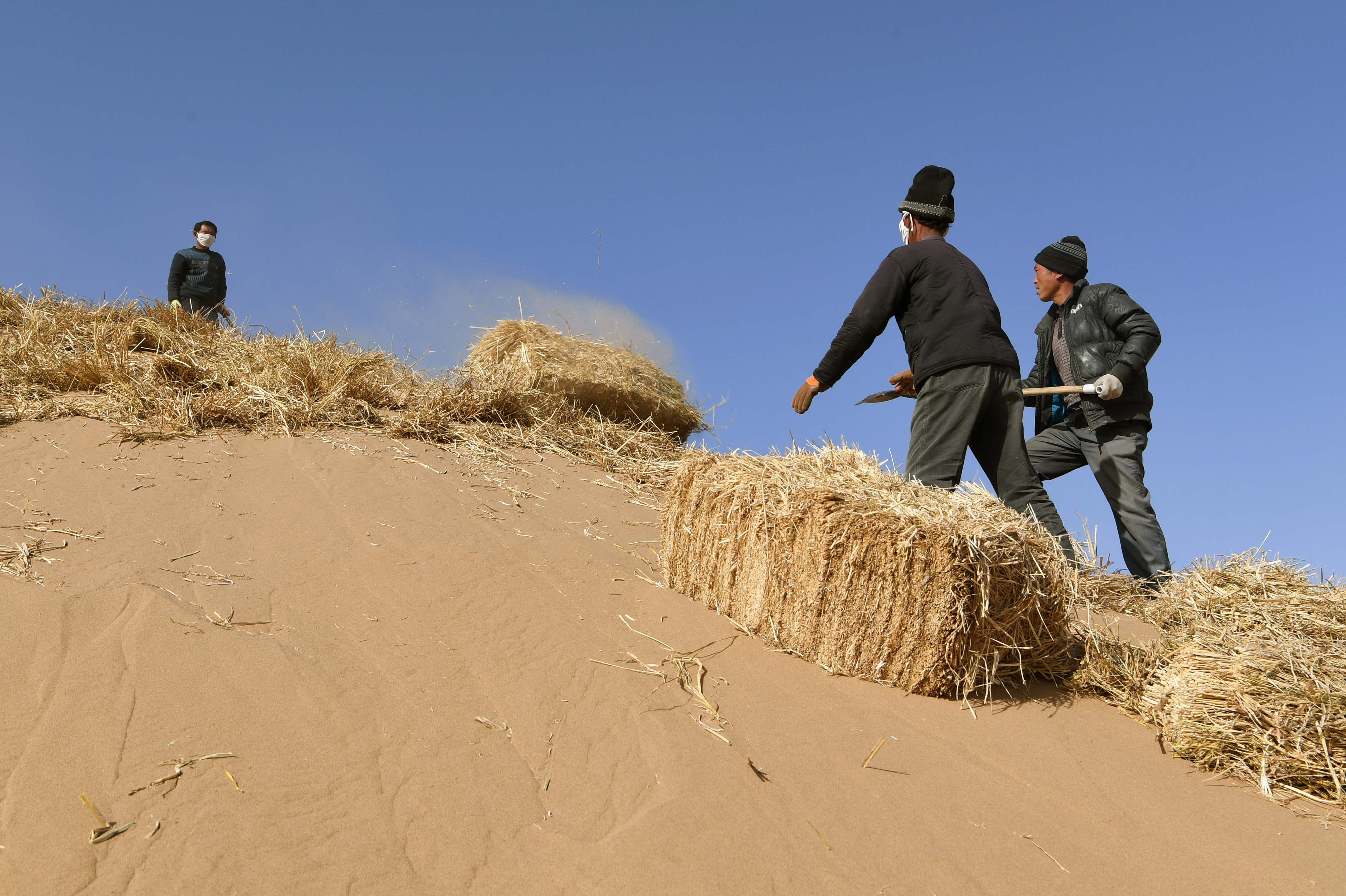 Maßnahmen gegen die Desertifikation in Gansu - Deutsch-Chinesische